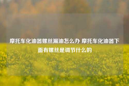 摩托车化油器螺丝漏油怎么办 摩托车化油器下面有螺丝是调节什么的