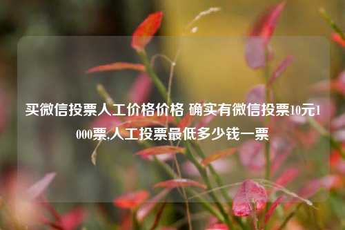 买微信投票人工价格价格 确实有微信投票10元1000票,人工投票最低多少钱一票