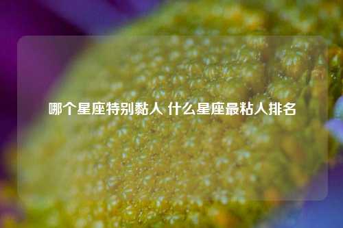 哪个星座特别黏人 什么星座最粘人排名