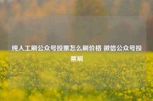 纯人工刷公众号投票怎么刷价格 微信公众号投票刷