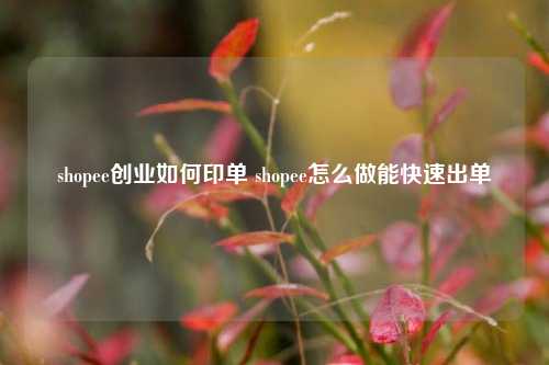 shopee创业如何印单 shopee怎么做能快速出单