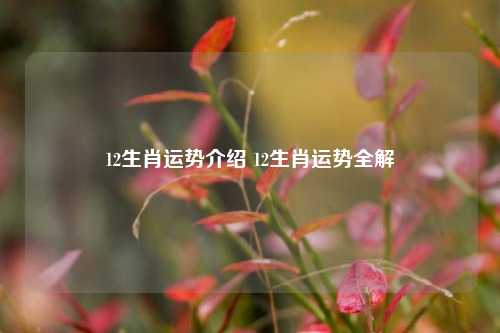 12生肖运势介绍 12生肖运势全解