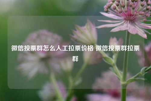 微信投票群怎么人工拉票价格 微信投票群拉票群