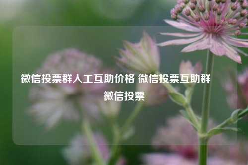 微信投票群人工互助价格 微信投票互助群 – 微信投票