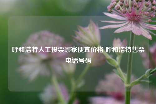 呼和浩特人工投票哪家便宜价格 呼和浩特售票电话号码