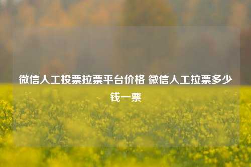 微信人工投票拉票平台价格 微信人工拉票多少钱一票