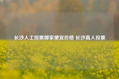 长沙人工投票哪家便宜价格 长沙真人投票