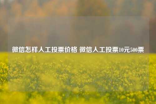 微信怎样人工投票价格 微信人工投票10元500票