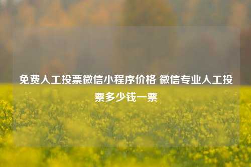 免费人工投票微信小程序价格 微信专业人工投票多少钱一票