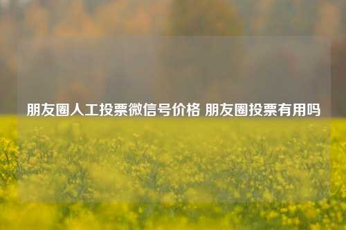 朋友圈人工投票微信号价格 朋友圈投票有用吗