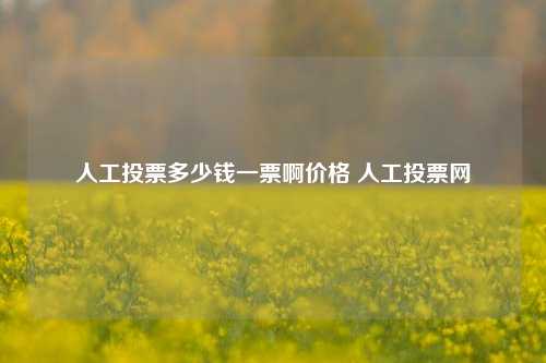 人工投票多少钱一票啊价格 人工投票网