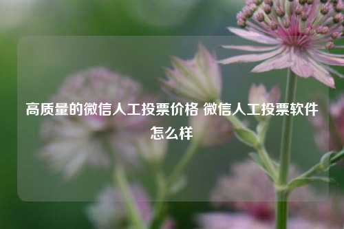 高质量的微信人工投票价格 微信人工投票软件怎么样