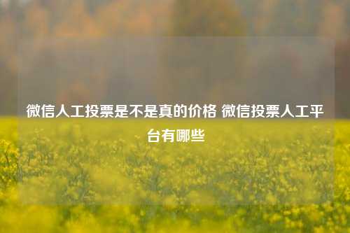 微信人工投票是不是真的价格 微信投票人工平台有哪些