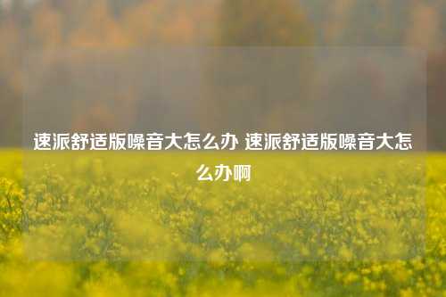 速派舒适版噪音大怎么办 速派舒适版噪音大怎么办啊