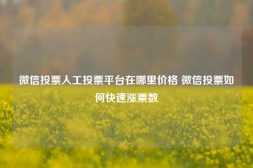 微信投票人工投票平台在哪里价格 微信投票如何快速涨票数