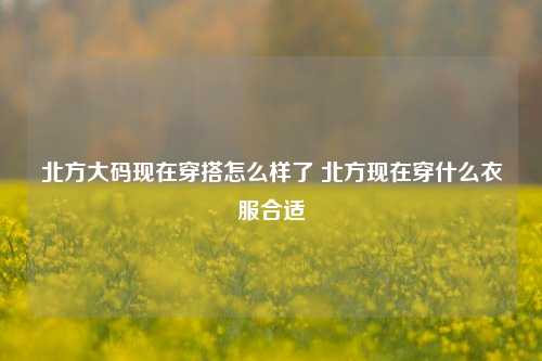 北方大码现在穿搭怎么样了 北方现在穿什么衣服合适