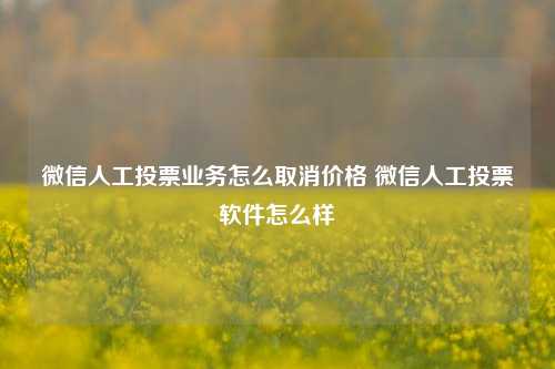 微信人工投票业务怎么取消价格 微信人工投票软件怎么样