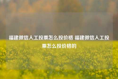 福建微信人工投票怎么投价格 福建微信人工投票怎么投价格的