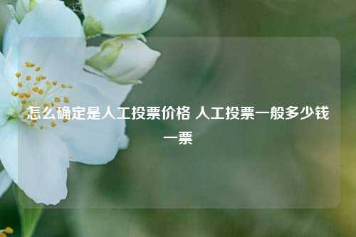 怎么确定是人工投票价格 人工投票一般多少钱一票