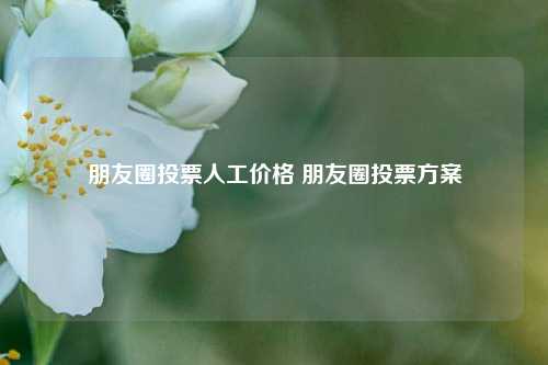 朋友圈投票人工价格 朋友圈投票方案