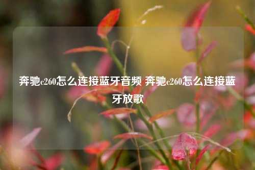 奔驰c260怎么连接蓝牙音频 奔驰c260怎么连接蓝牙放歌