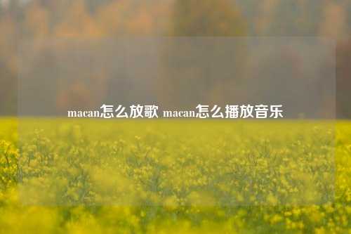 macan怎么放歌 macan怎么播放音乐