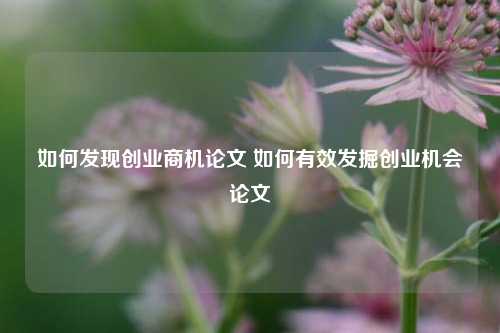 如何发现创业商机论文 如何有效发掘创业机会论文