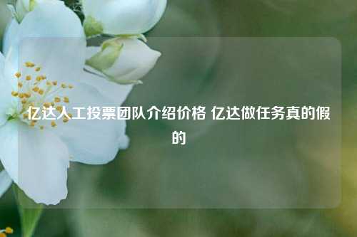 亿达人工投票团队介绍价格 亿达做任务真的假的