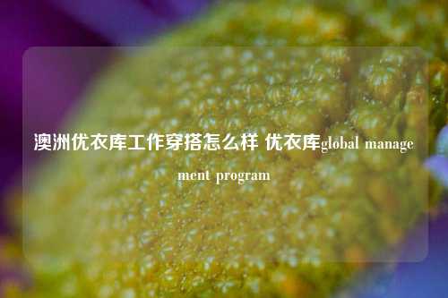 澳洲优衣库工作穿搭怎么样 优衣库global management program