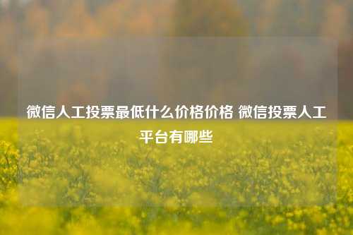 微信人工投票最低什么价格价格 微信投票人工平台有哪些