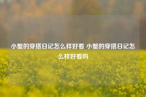 小蟹的穿搭日记怎么样好看 小蟹的穿搭日记怎么样好看吗