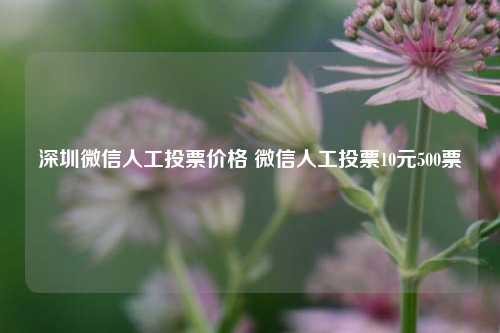 深圳微信人工投票价格 微信人工投票10元500票