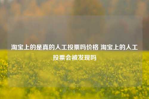 淘宝上的是真的人工投票吗价格 淘宝上的人工投票会被发现吗