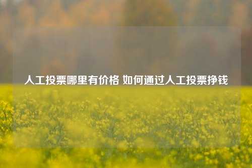 人工投票哪里有价格 如何通过人工投票挣钱