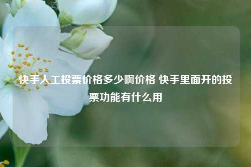 快手人工投票价格多少啊价格 快手里面开的投票功能有什么用