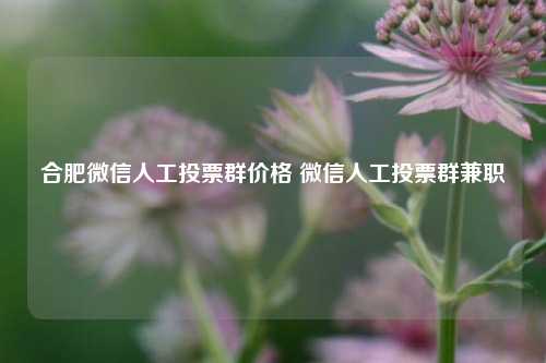 合肥微信人工投票群价格 微信人工投票群兼职