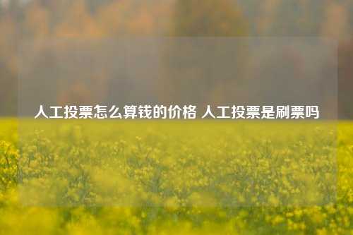 人工投票怎么算钱的价格 人工投票是刷票吗