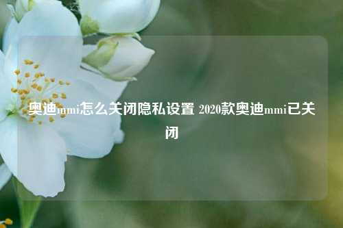 奥迪mmi怎么关闭隐私设置 2020款奥迪mmi已关闭