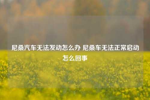 尼桑汽车无法发动怎么办 尼桑车无法正常启动怎么回事