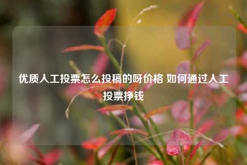 优质人工投票怎么投稿的呀价格 如何通过人工投票挣钱