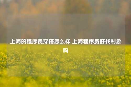 上海的程序员穿搭怎么样 上海程序员好找对象吗