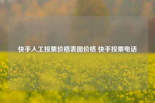 快手人工投票价格表图价格 快手投票电话