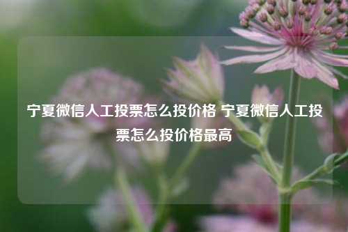 宁夏微信人工投票怎么投价格 宁夏微信人工投票怎么投价格最高