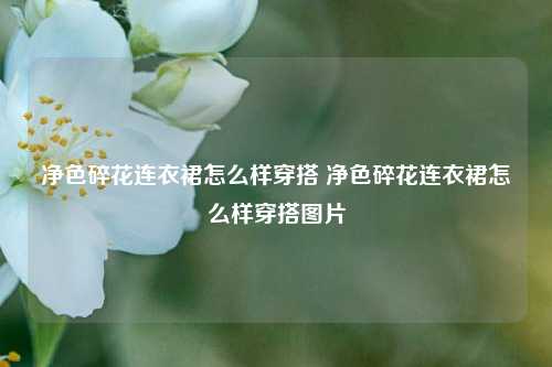 净色碎花连衣裙怎么样穿搭 净色碎花连衣裙怎么样穿搭图片