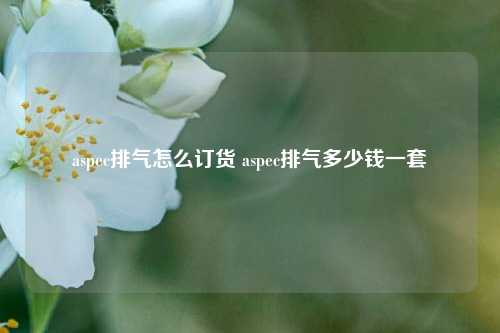 aspec排气怎么订货 aspec排气多少钱一套