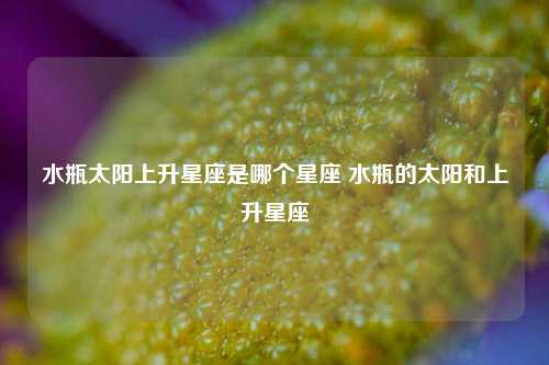 水瓶太阳上升星座是哪个星座 水瓶的太阳和上升星座