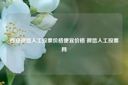 西安微信人工投票价格便宜价格 微信人工投票网