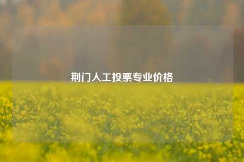 荆门人工投票专业价格