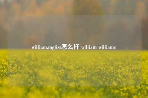 williamangliss怎么样 william williams