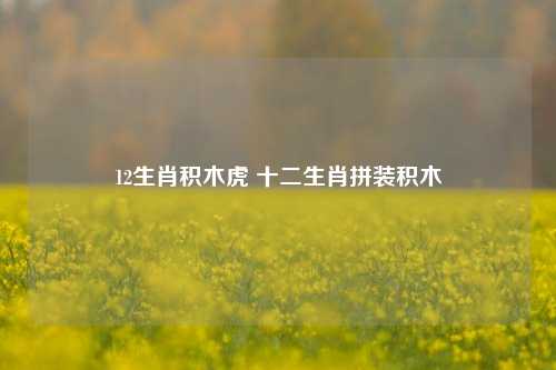 12生肖积木虎 十二生肖拼装积木